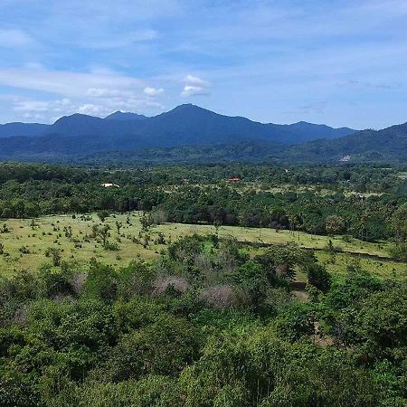 Luxury Villa With Pool In Tropical Garden Puerto Princesa Exterior photo