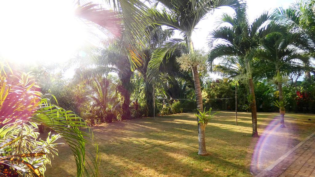 Luxury Villa With Pool In Tropical Garden Puerto Princesa Exterior photo