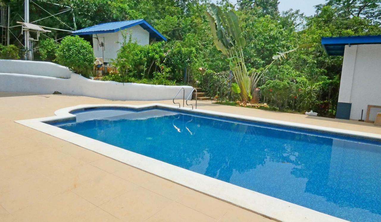 Luxury Villa With Pool In Tropical Garden Puerto Princesa Exterior photo