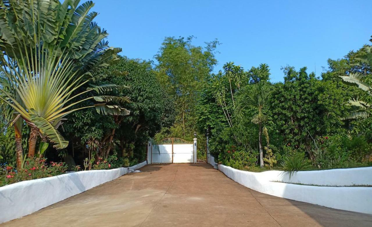 Luxury Villa With Pool In Tropical Garden Puerto Princesa Exterior photo